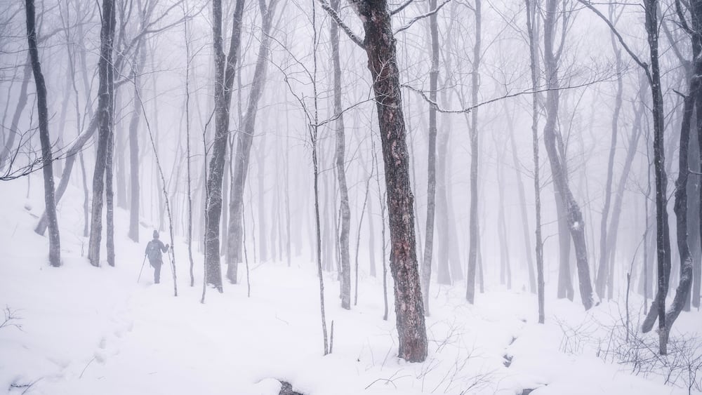 hiker walks through snowy forest shrouded in fog, Quebec