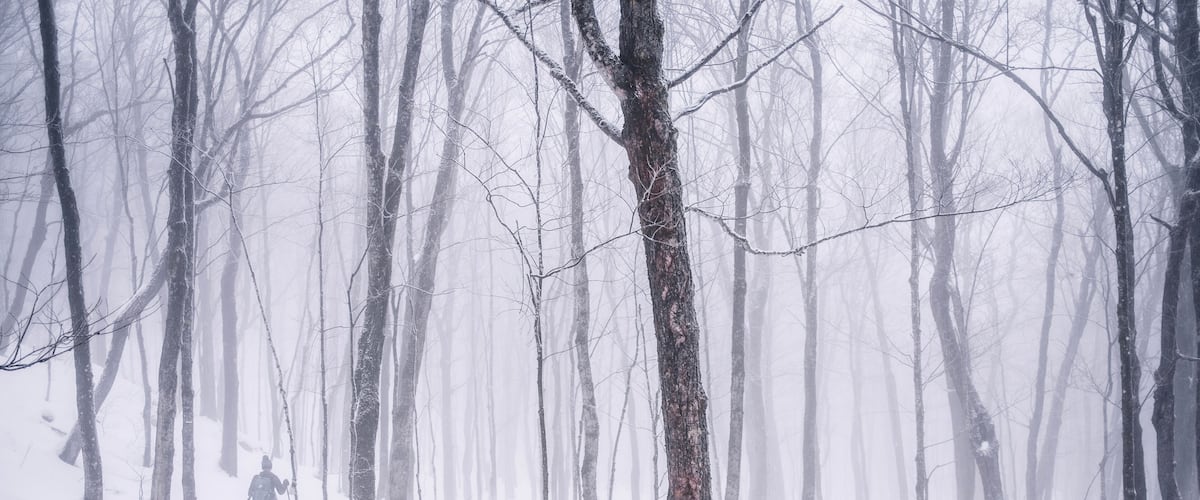 hiker walks through snowy forest shrouded in fog, Quebec
