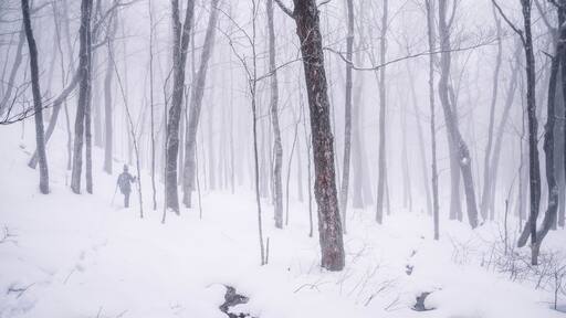 سانت - تيت - ديس - كابس