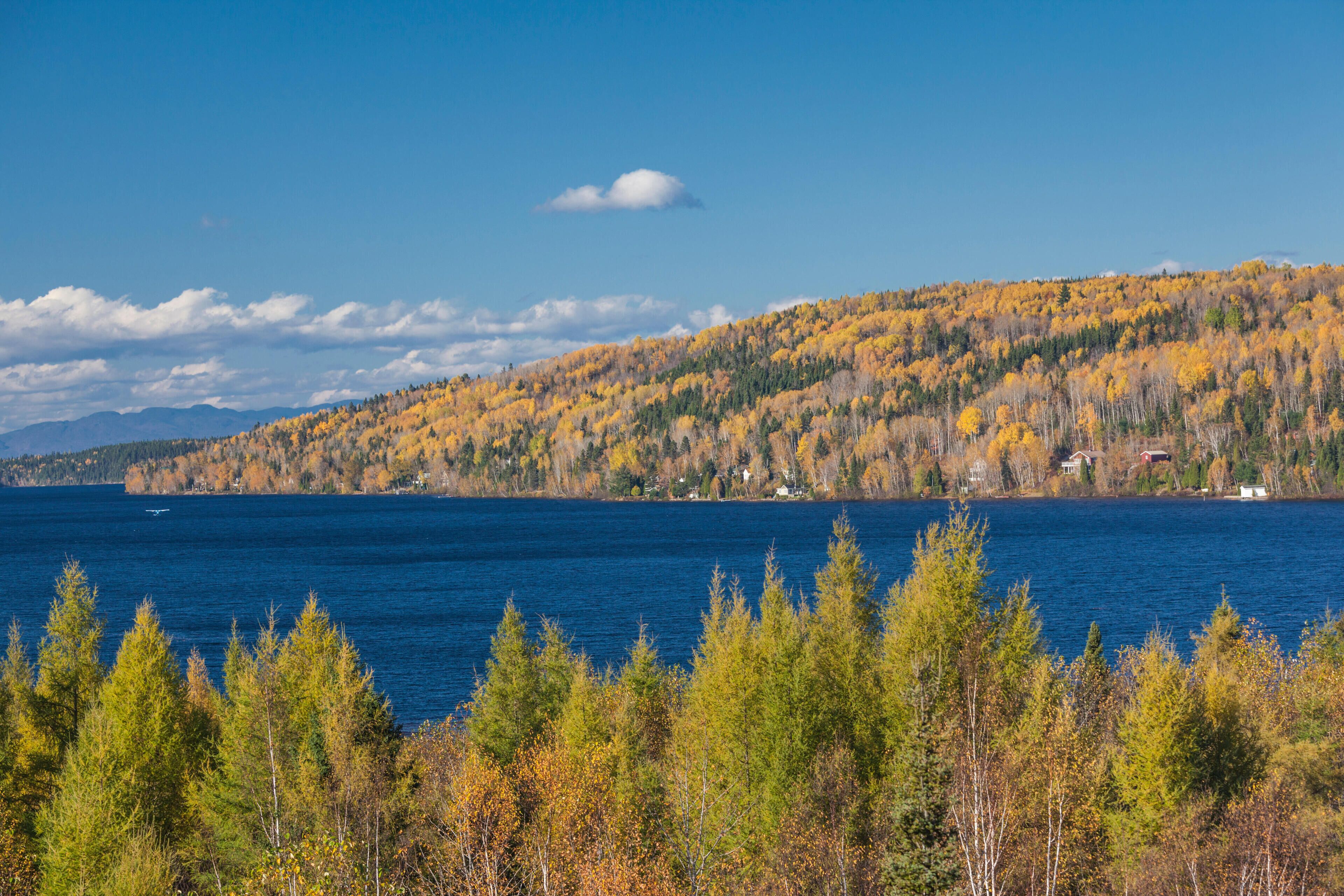 A lake surrounded by autumn-colored trees and a distant mountain range.