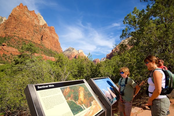 Court of the Patriarchs Viewpoint showing tranquil scenes, signage and mountains