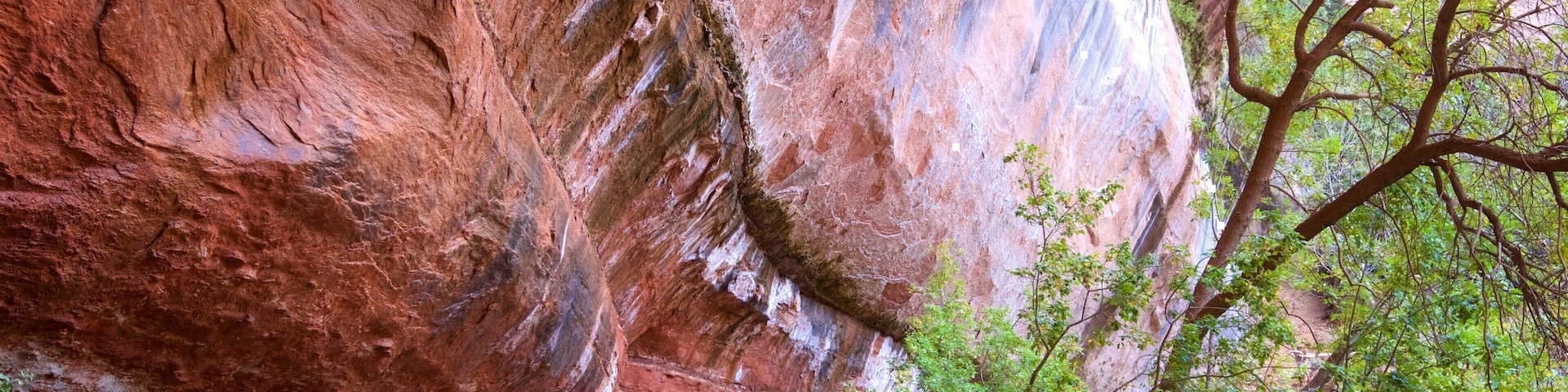 Emerald Pools which includes hiking or walking and tranquil scenes as well as a small group of people