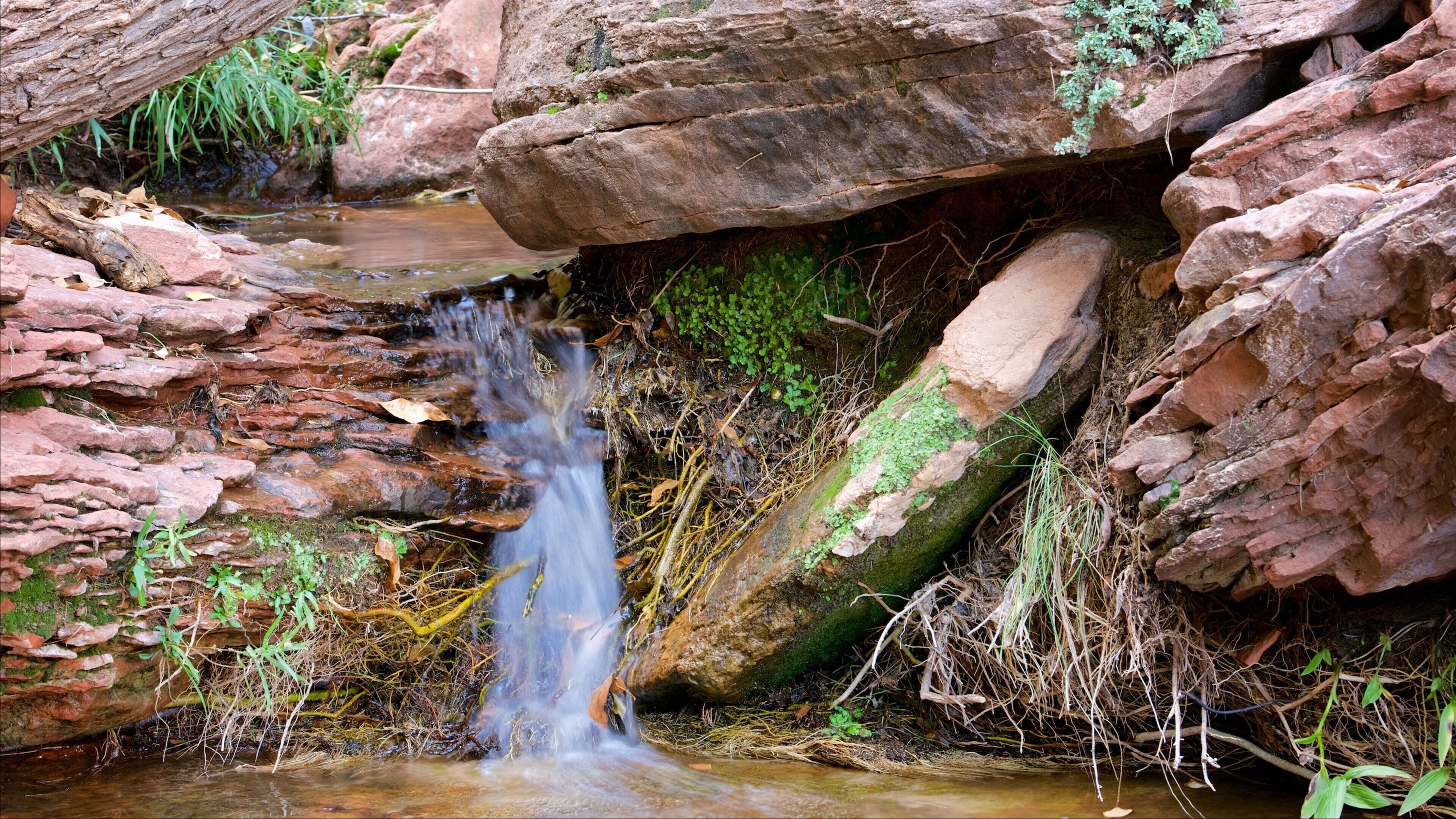 Emerald Pools showing a waterfall, a river or creek and tranquil scenes