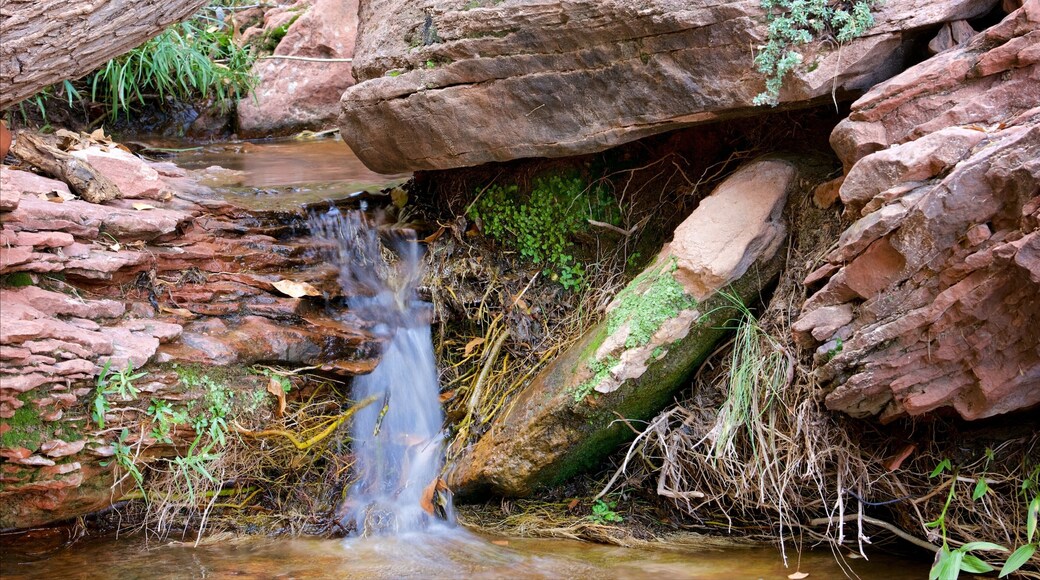 Emerald Pools showing a waterfall, a river or creek and tranquil scenes