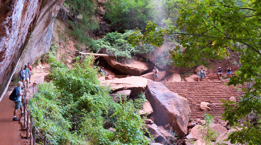 Emerald Pools which includes tranquil scenes and hiking or walking as well as a small group of people