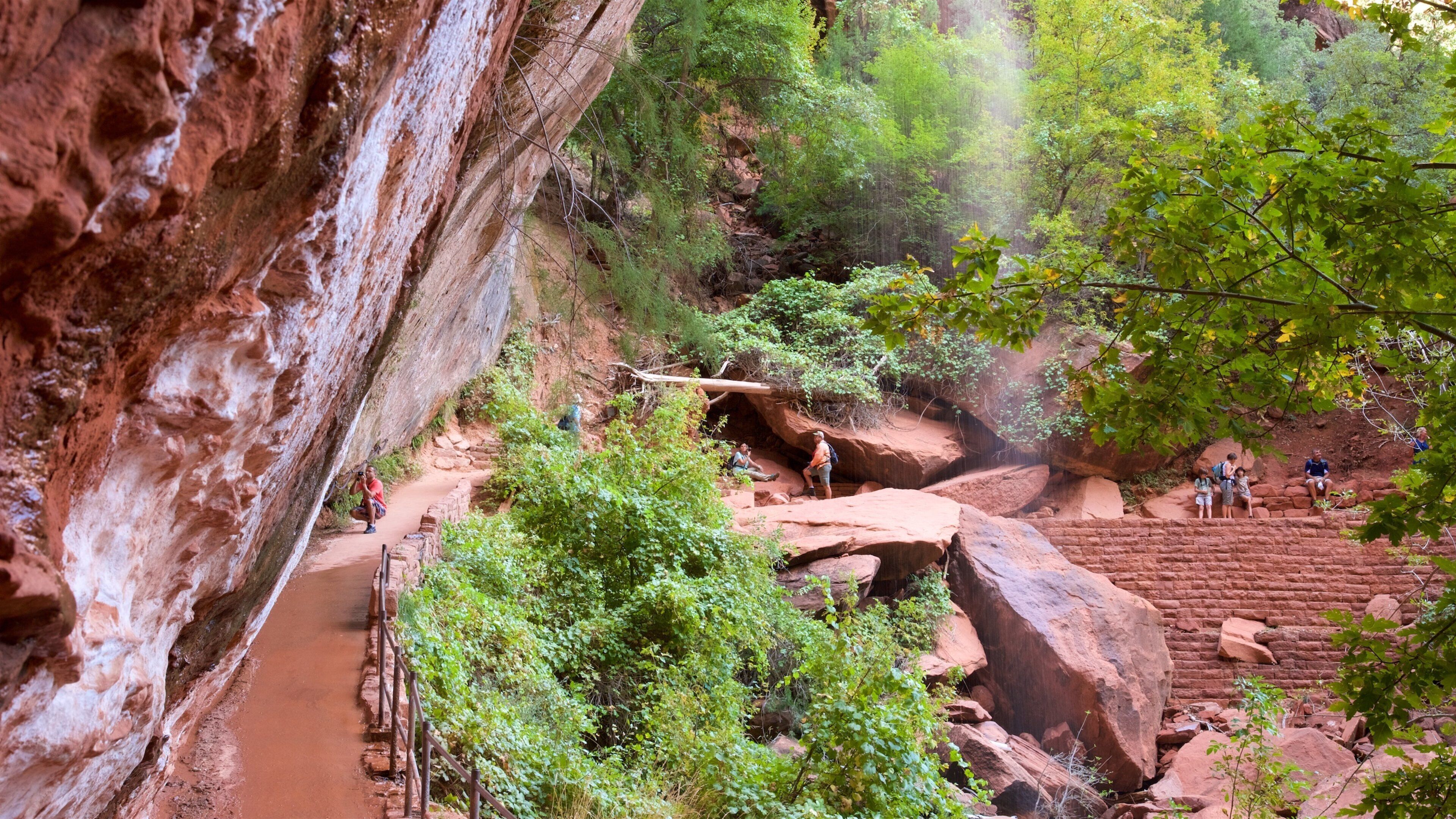 Emerald Pools che include paesaggi rilassanti e escursioni o camminate cosi come un piccolo gruppo di persone