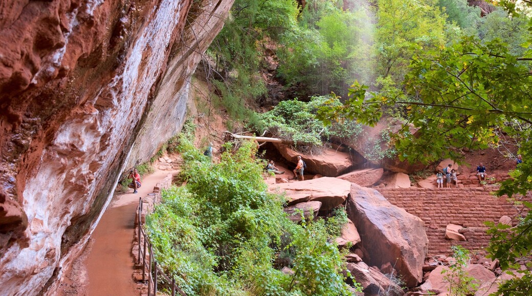 Emerald Pools che include paesaggi rilassanti e escursioni o camminate cosi come un piccolo gruppo di persone