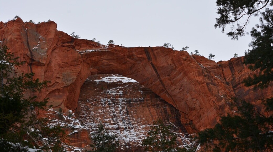 My first time making it back to the #Kolobarch I can never get enough of #Zion in the winter.