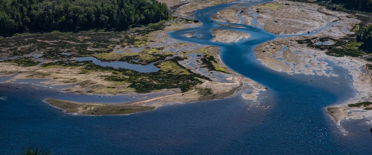 A river winding through a forested area with sandy banks and patches of vegetation.