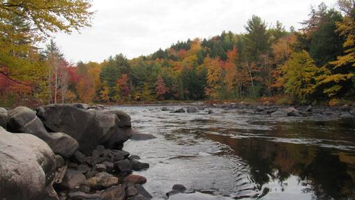 Fall colours, fresh air and water view.