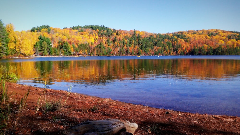 Beau paysage automnal, Lac Morgan, Rawdon, Canada
