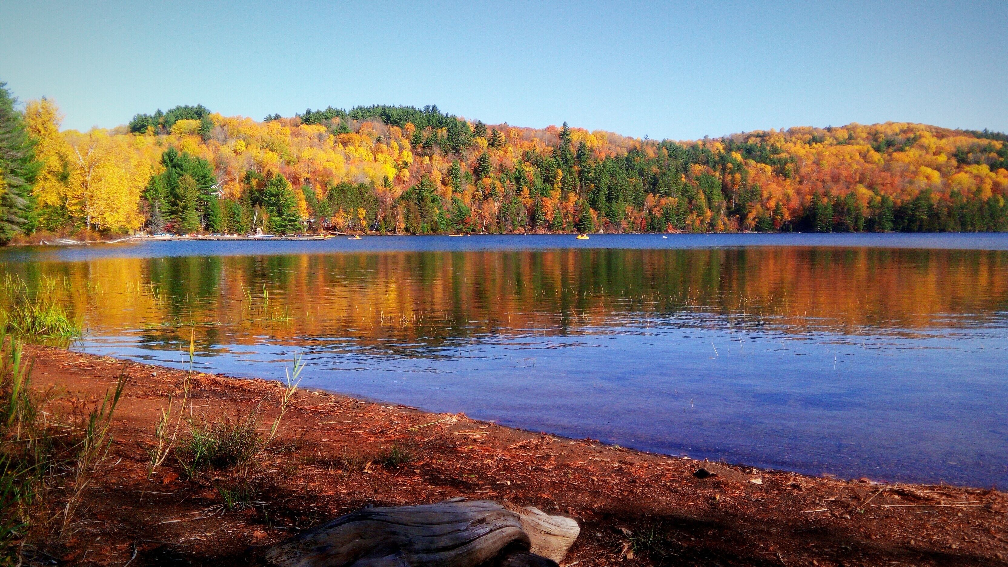 A calm lake surrounded by autumn-colored trees.