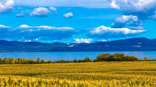 Corn fields along the St Lawrence River across from the Appalachian Mountains, Quebec, Canada