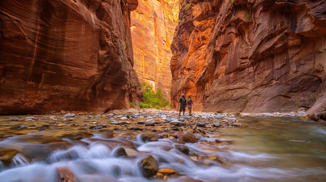 The Narrows