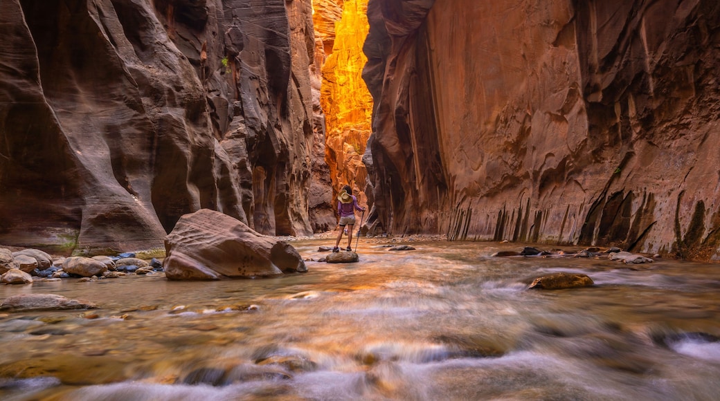 The Narrows