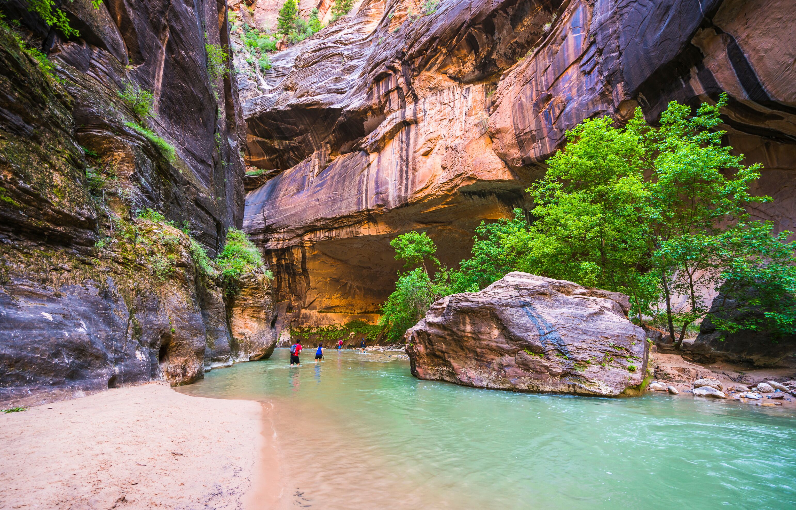 zion narrow  with  vergin river in Zion National park,Utah,usa.
