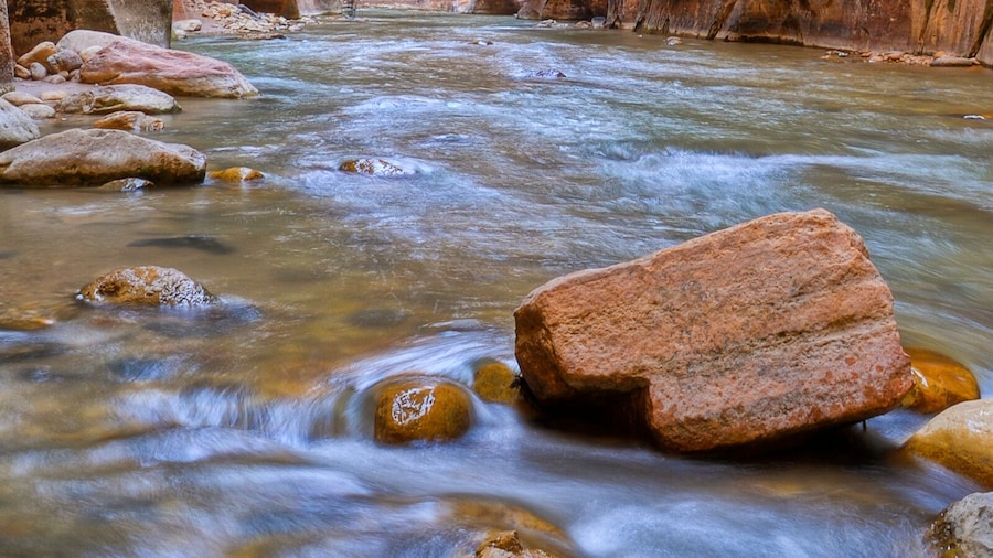 เดอะแนโรวส์