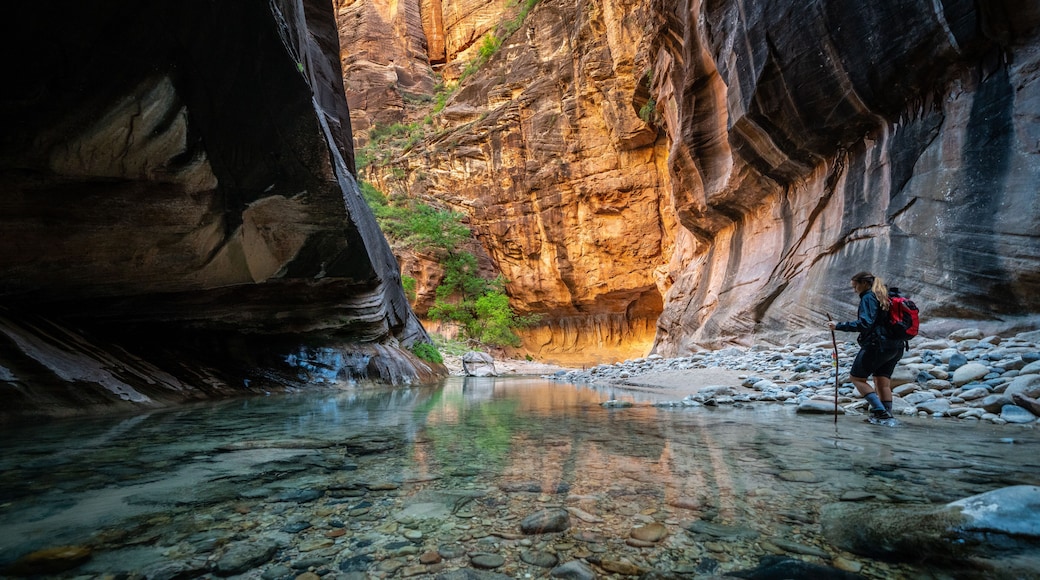 The Narrows