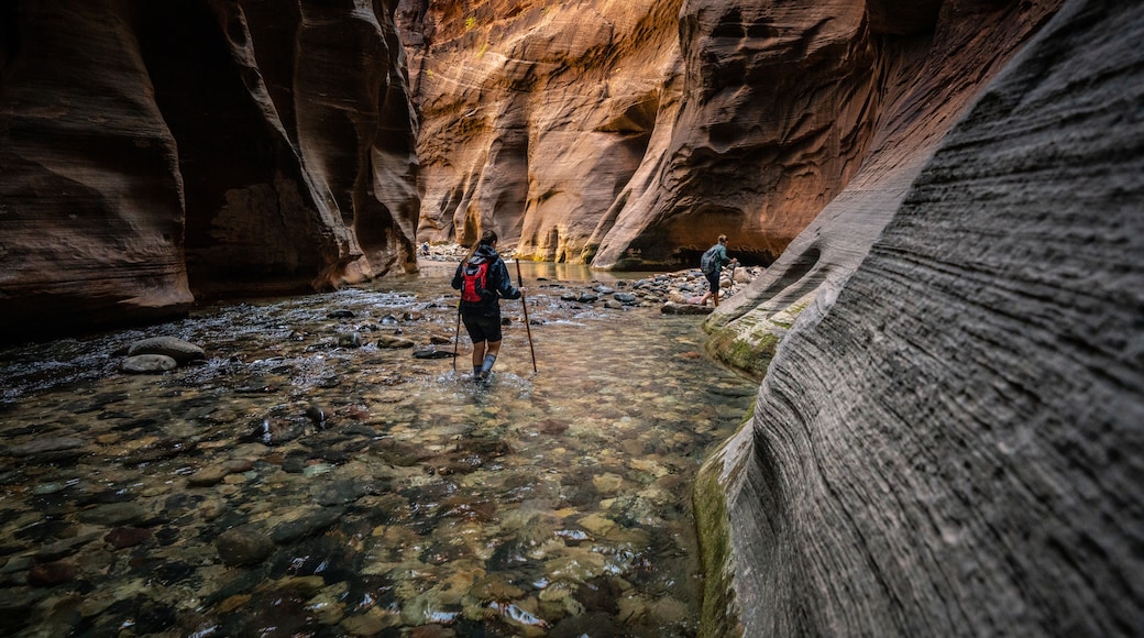 The Narrows
