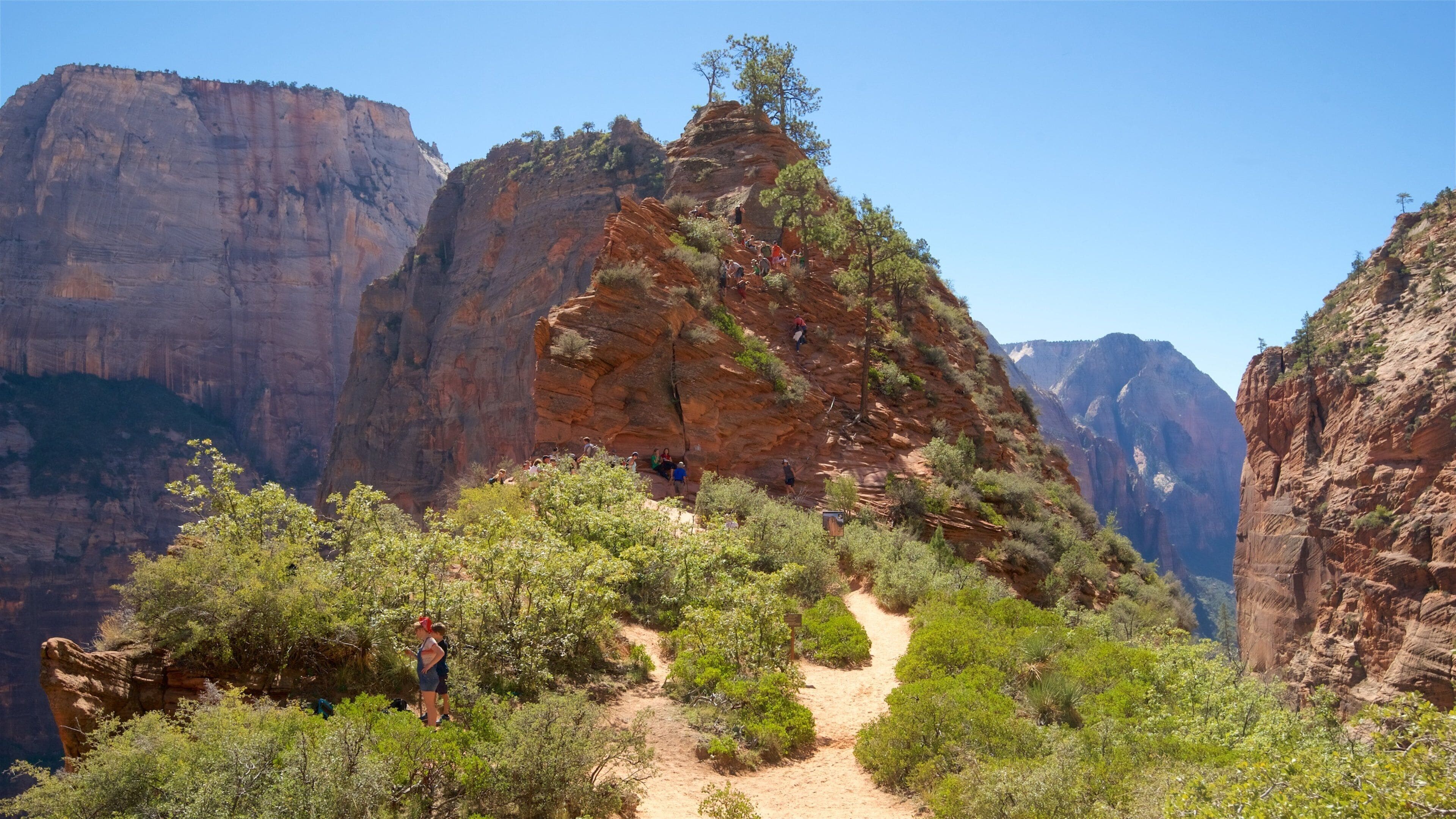 A canyon with a dirt trail, rocky cliffs, and sparse vegetation.