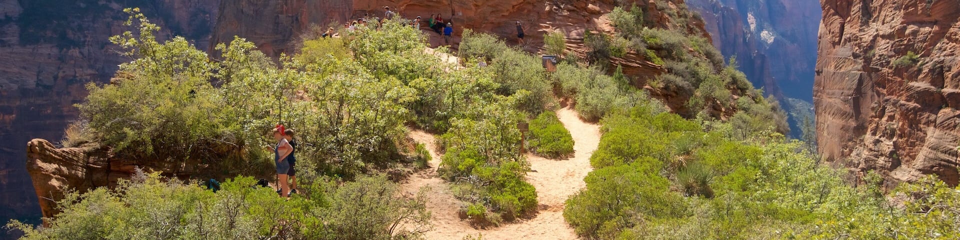 A canyon with a dirt trail, rocky cliffs, and sparse vegetation.