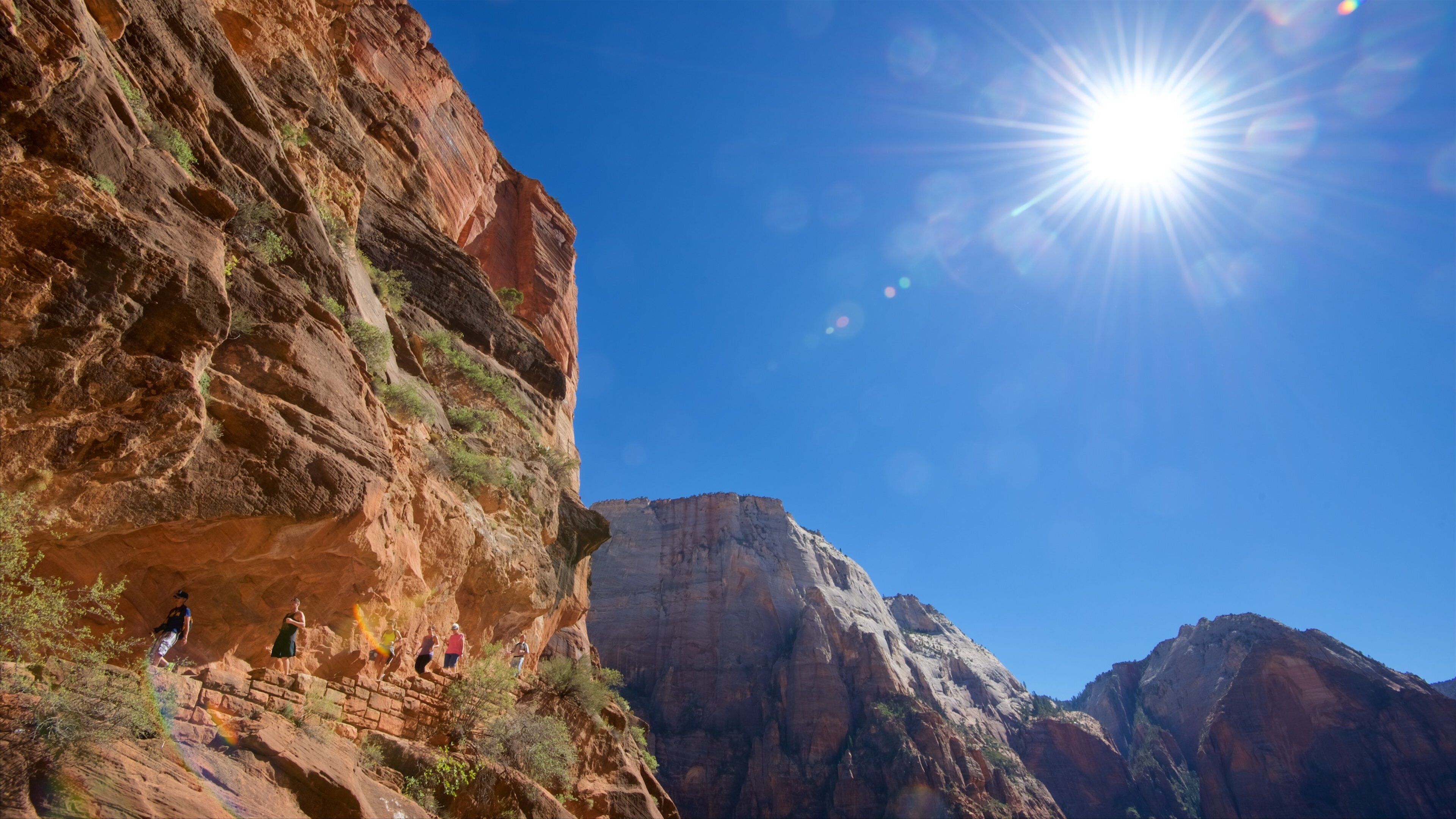 Zion National Park showing tranquil scenes, hiking or walking and mountains