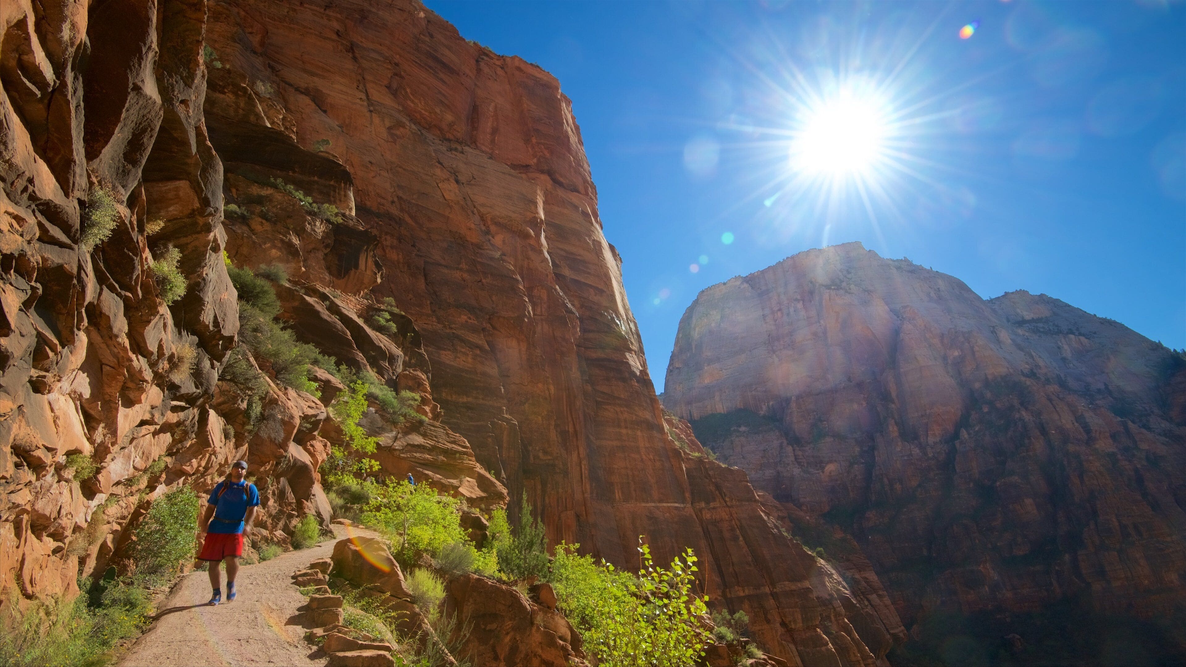 Zion National Park showing hiking or walking, tranquil scenes and landscape views