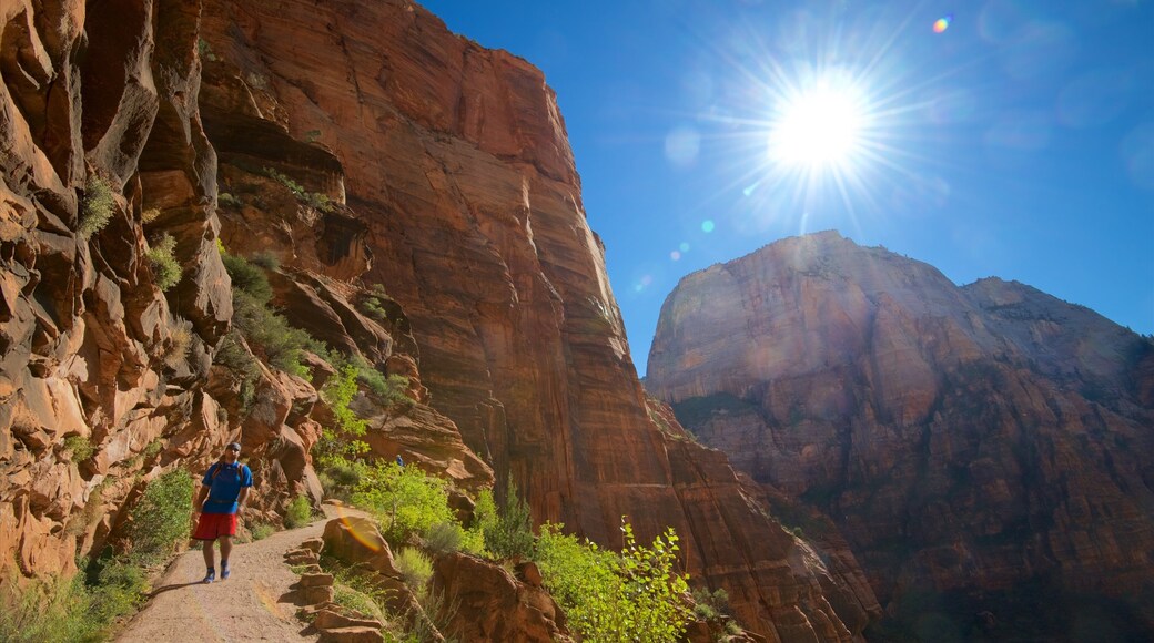 Zion National Park showing hiking or walking, tranquil scenes and landscape views