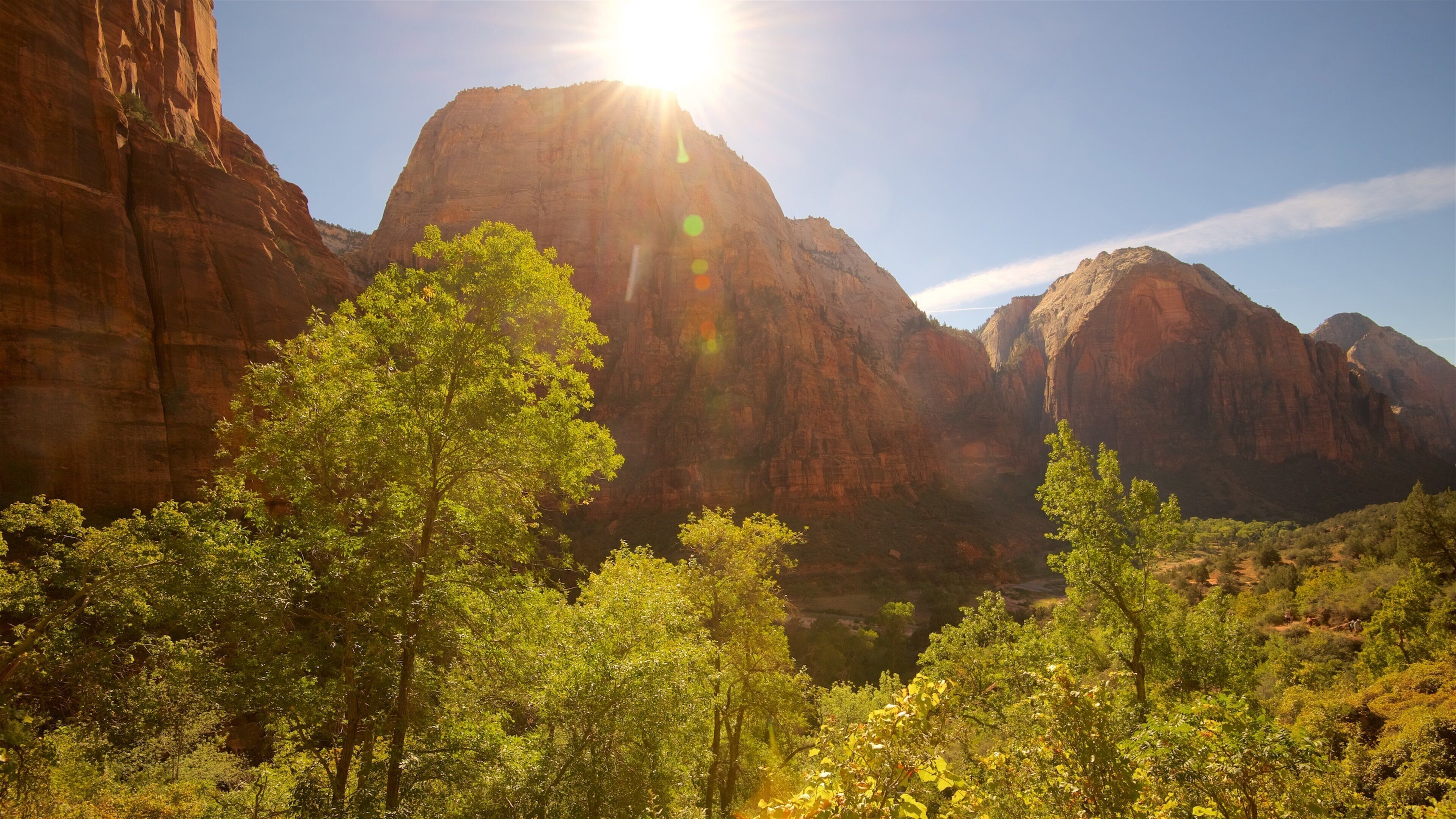 Zion National Park showing landscape views, tranquil scenes and mountains