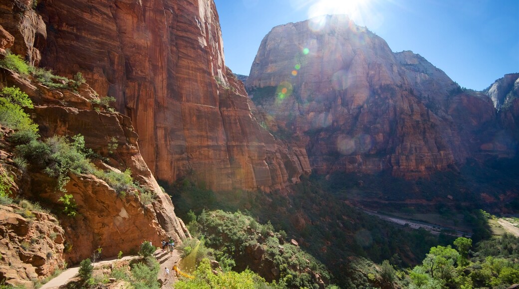 Zion National Park which includes hiking or walking, landscape views and tranquil scenes