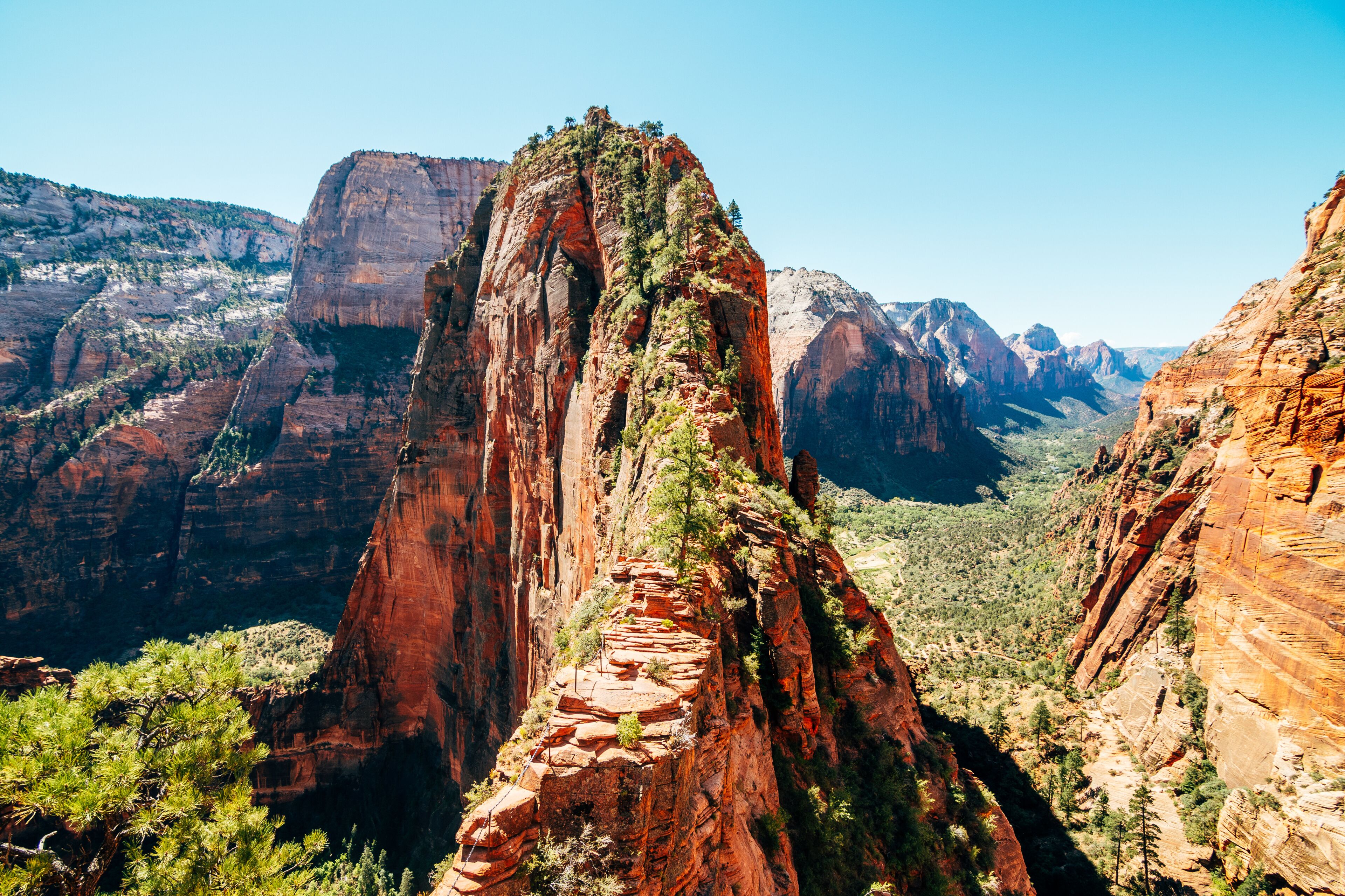 amazing angels landing trail at Zion national park, Usa