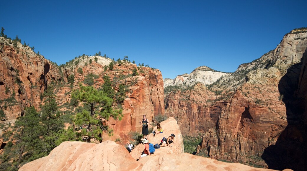 Zion National Park which includes hiking or walking, landscape views and a gorge or canyon