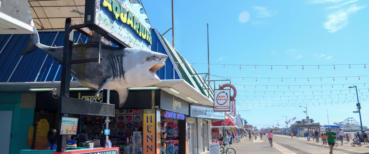 Wildwood_SeaportAquarium_6295489_09