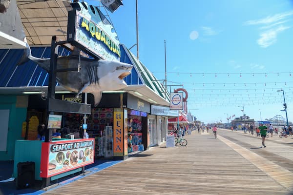 Wildwood_SeaportAquarium_6295489_09