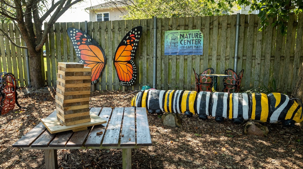 Nature Center of Cape May showing a park