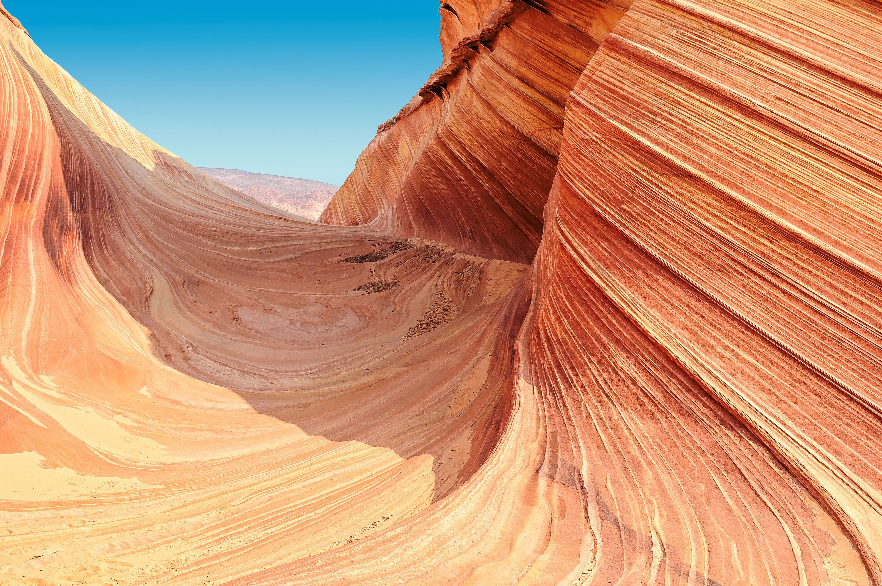 Plateau the Wave, Coyote Buttes North, Utah