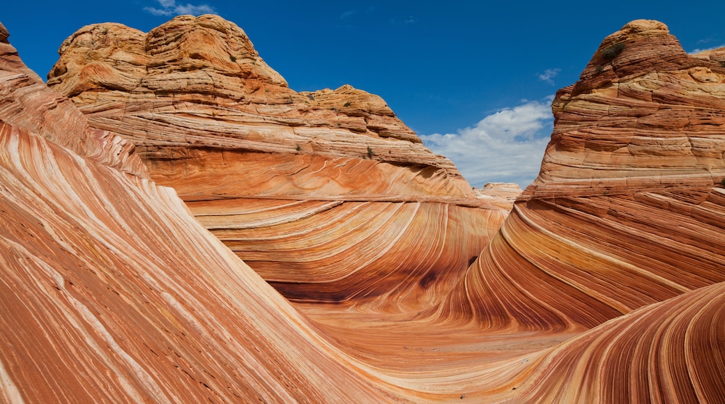 The Wave III