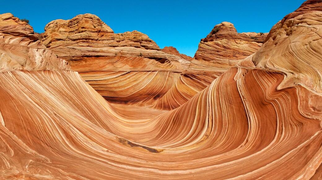The Wave USA