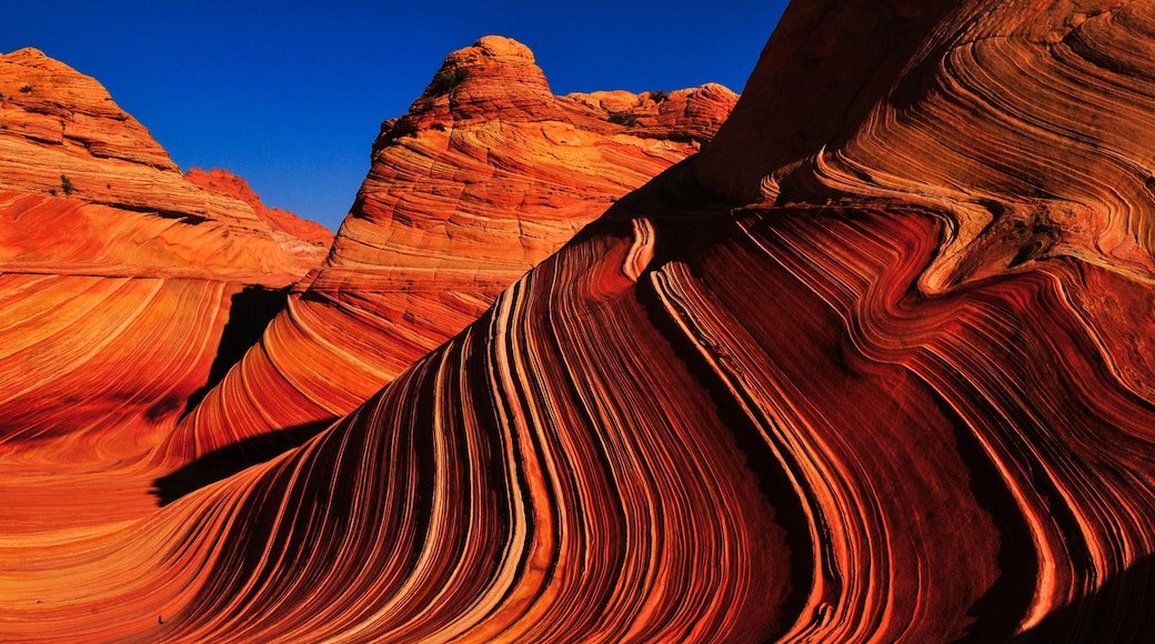 Sunrise on The Wave sandstone formation, Coyote Buttes North, Vermilion Cliffs National Monument, Arizona, Southwest USA.
