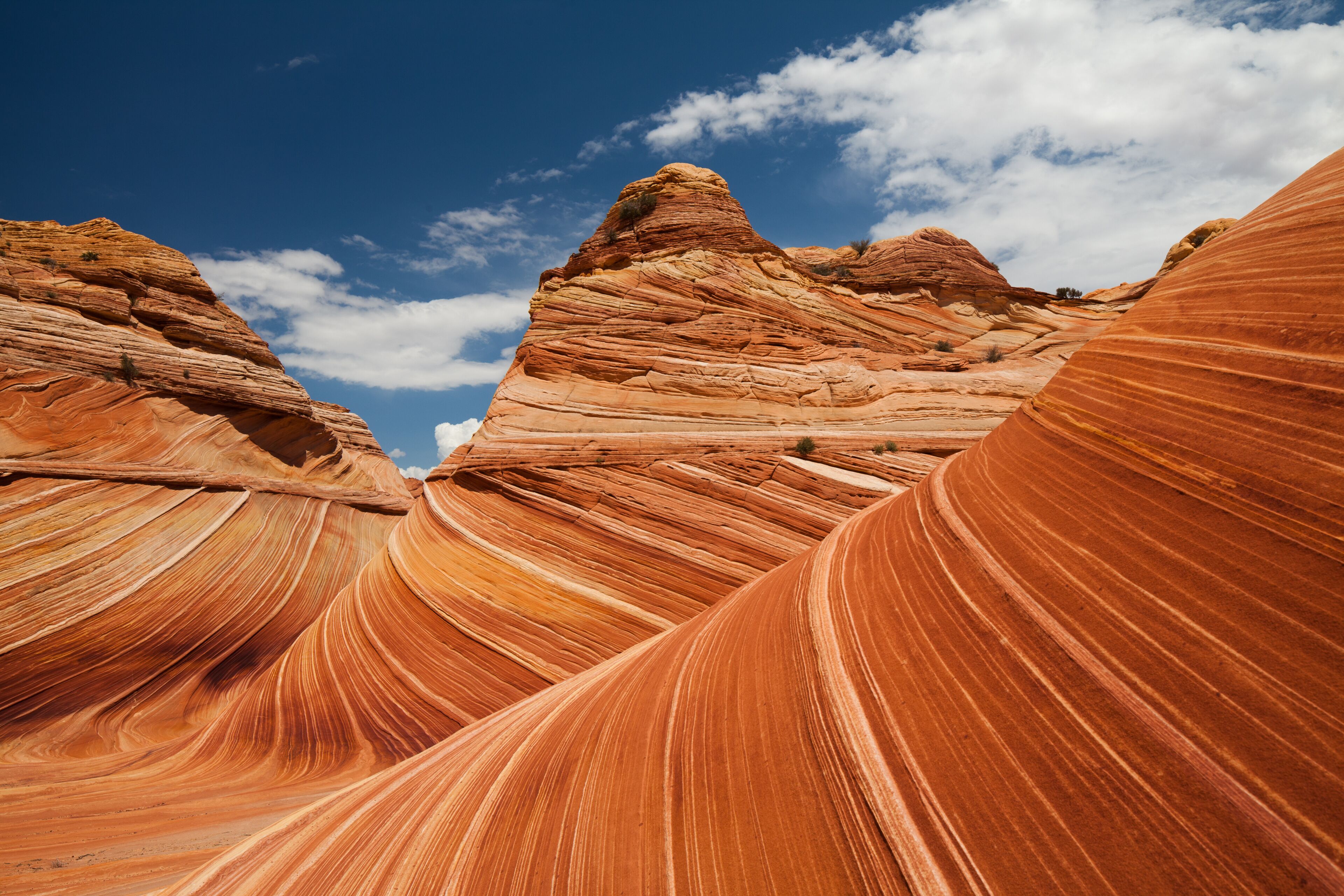 Paria Desert Wave