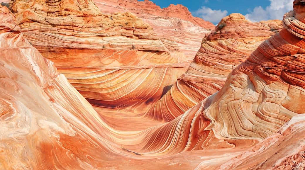 The Wave - Coyote Buttes North, Arizona, USA.