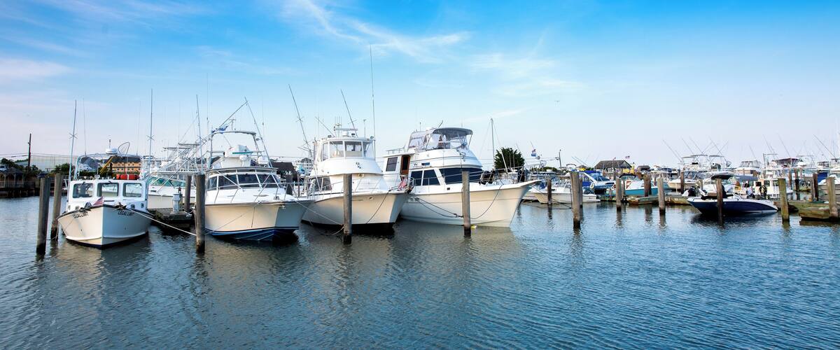 CapeMay_CapeIslandMarina_6295520_01-2
