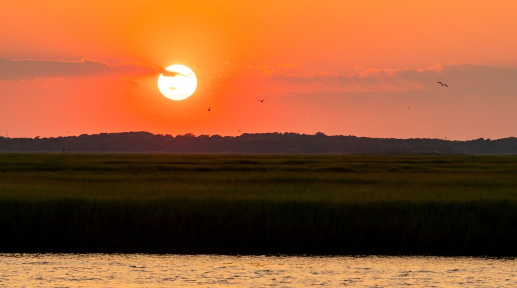 Reserva nacional de visa silvestre de Cape May