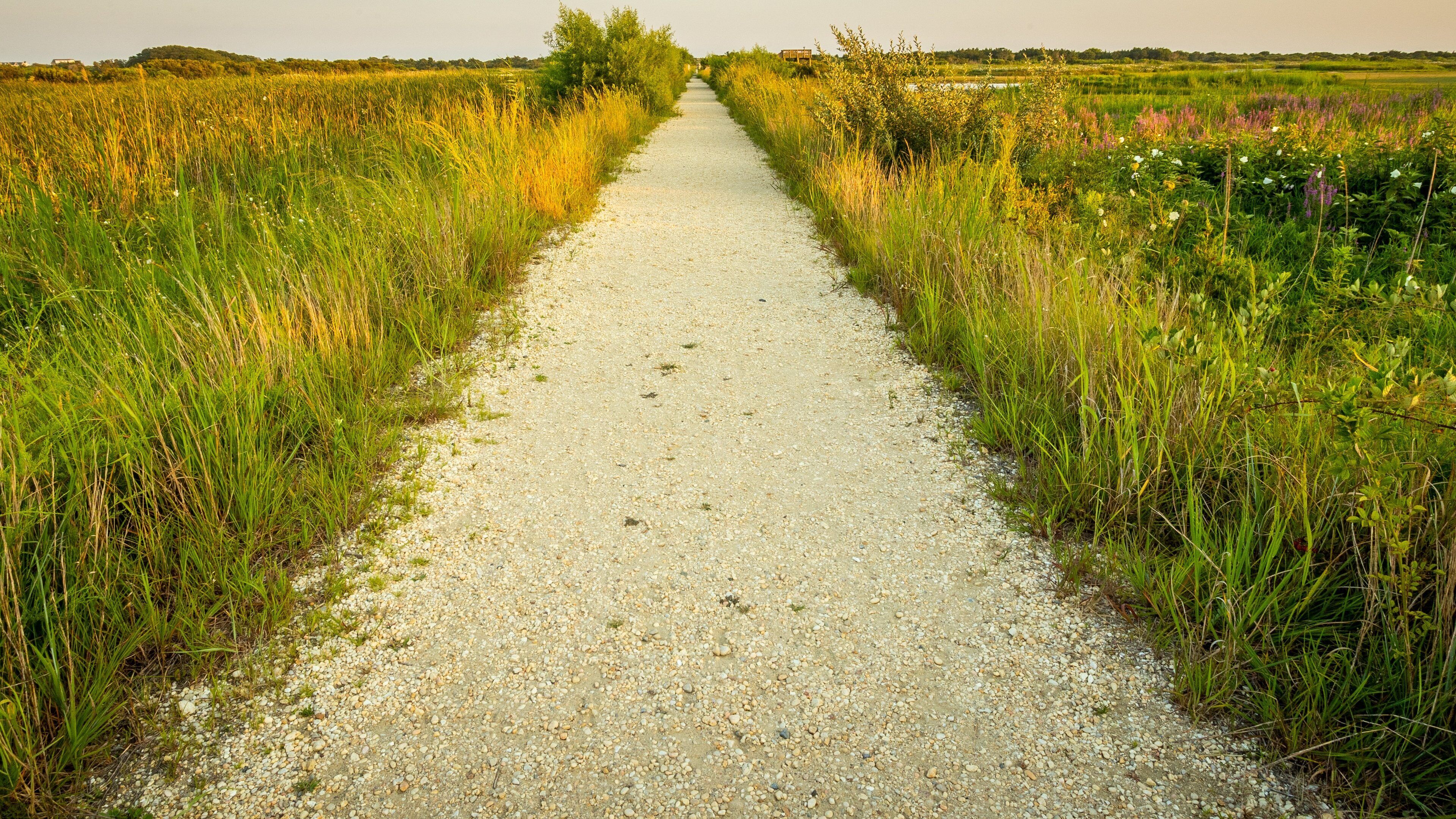 South Cape May Meadows which includes a sandy beach and tranquil scenes