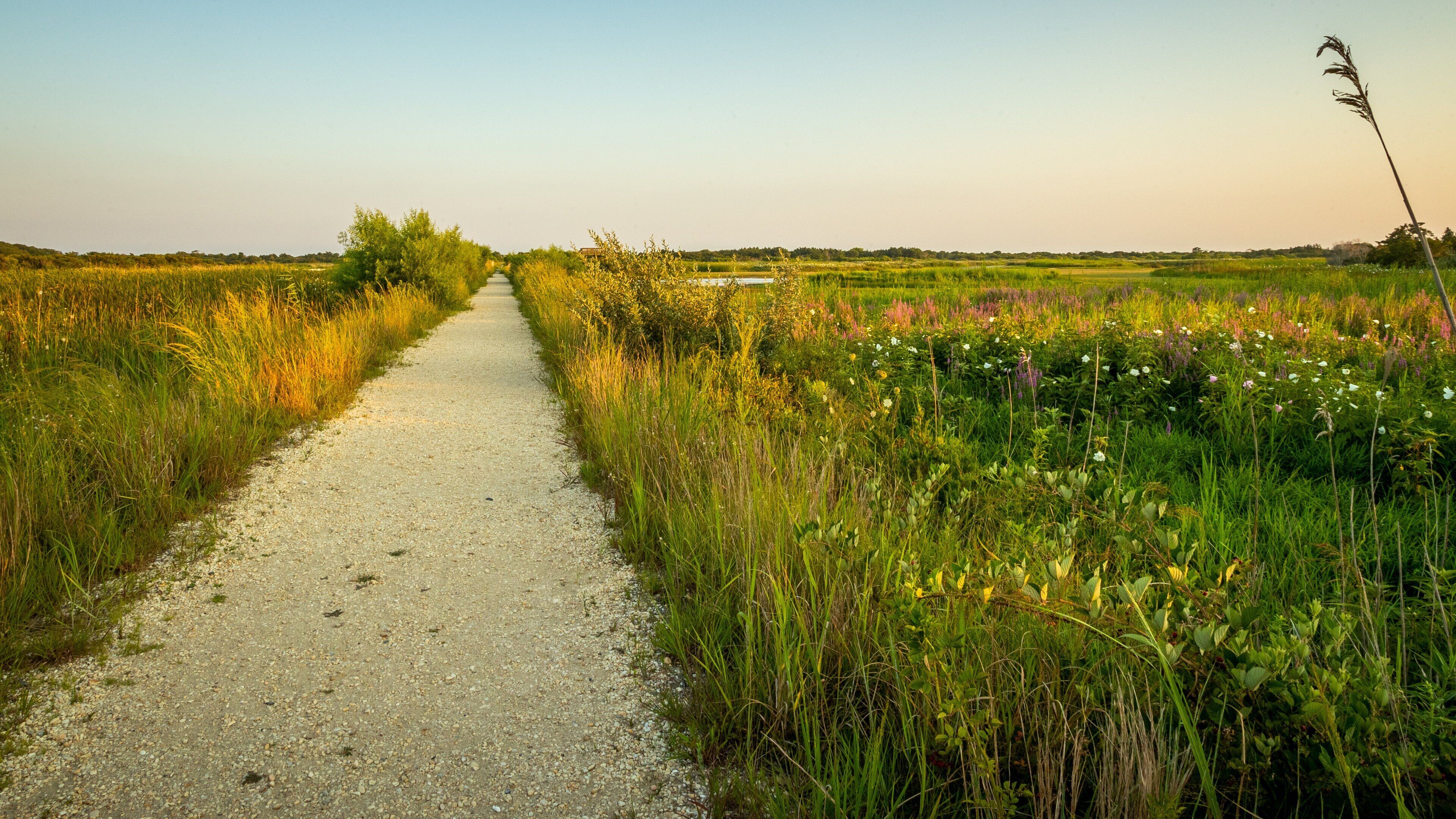 South Cape May Meadows showing tranquil scenes and a sunset