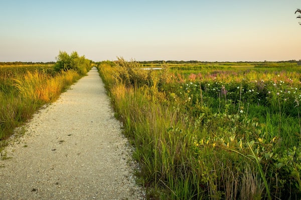 South Cape May Meadows showing tranquil scenes and a sunset
