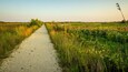 South Cape May Meadows showing tranquil scenes and a sunset