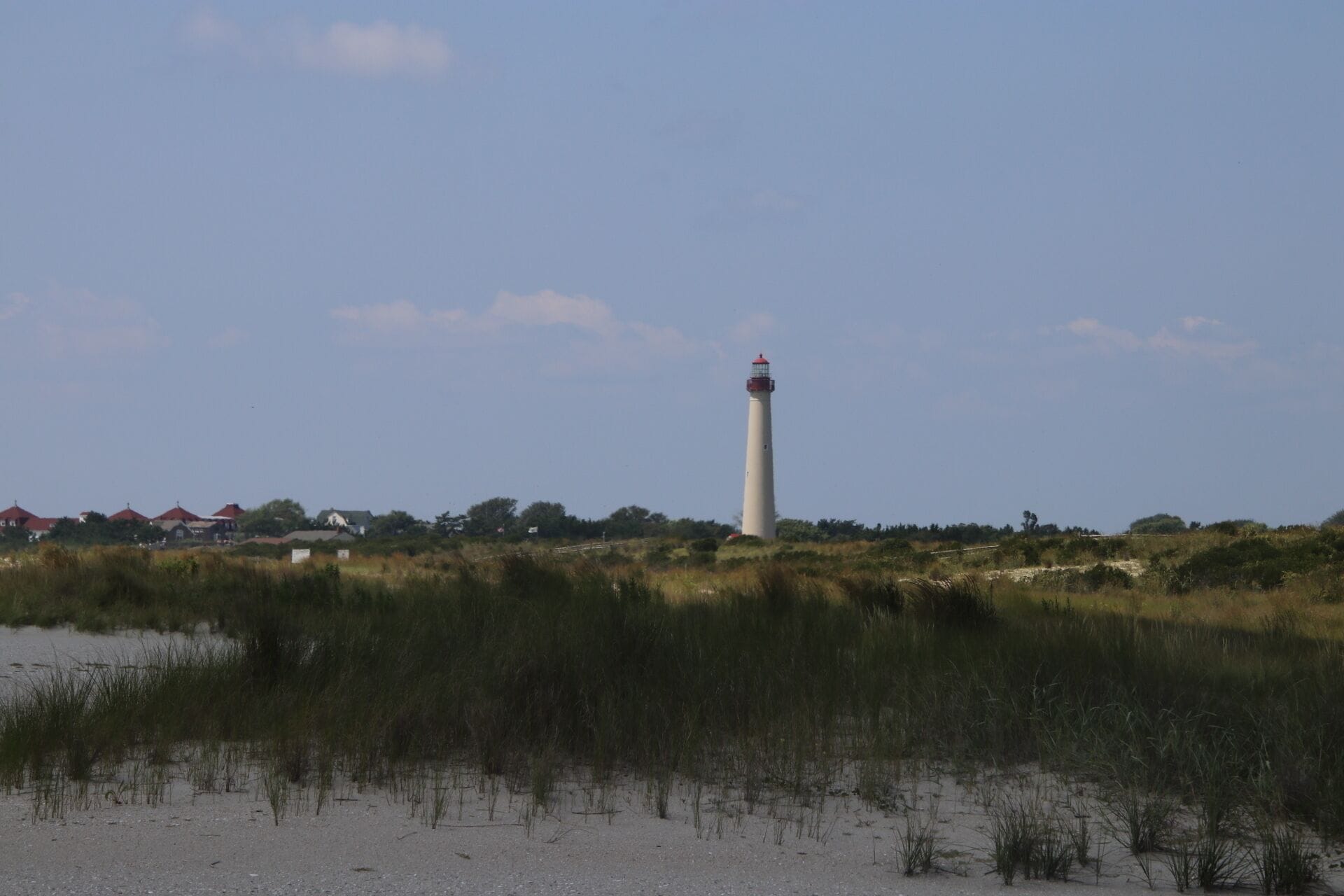 A view of Cape May Light from the Nature Conservancy trail in West Cape May, NJ
