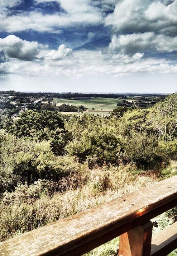☁️🏞
