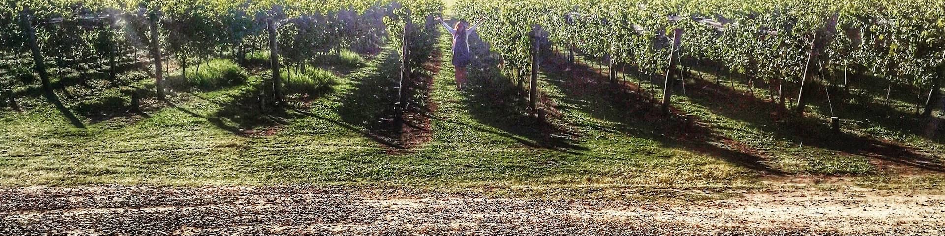 Bodega Costa & Pampa